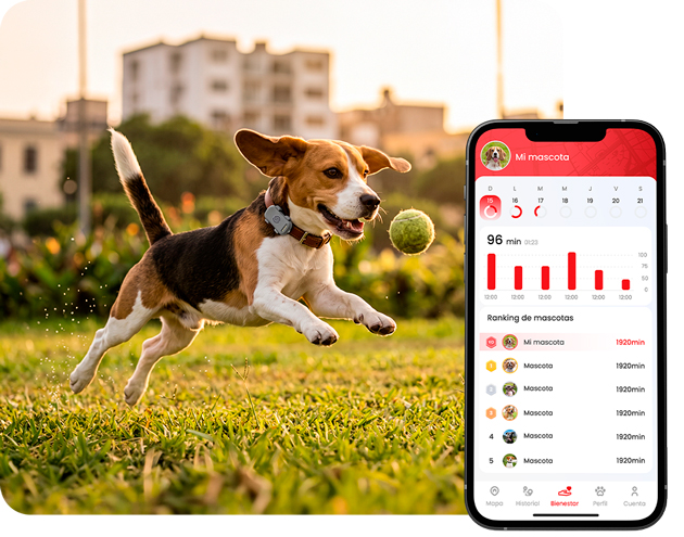 GPS para mascotas: Cuida su Bienestar
