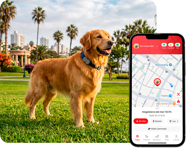 GPS para mascotas